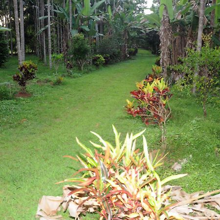 Sathwik Homestay Kumta Экстерьер фото