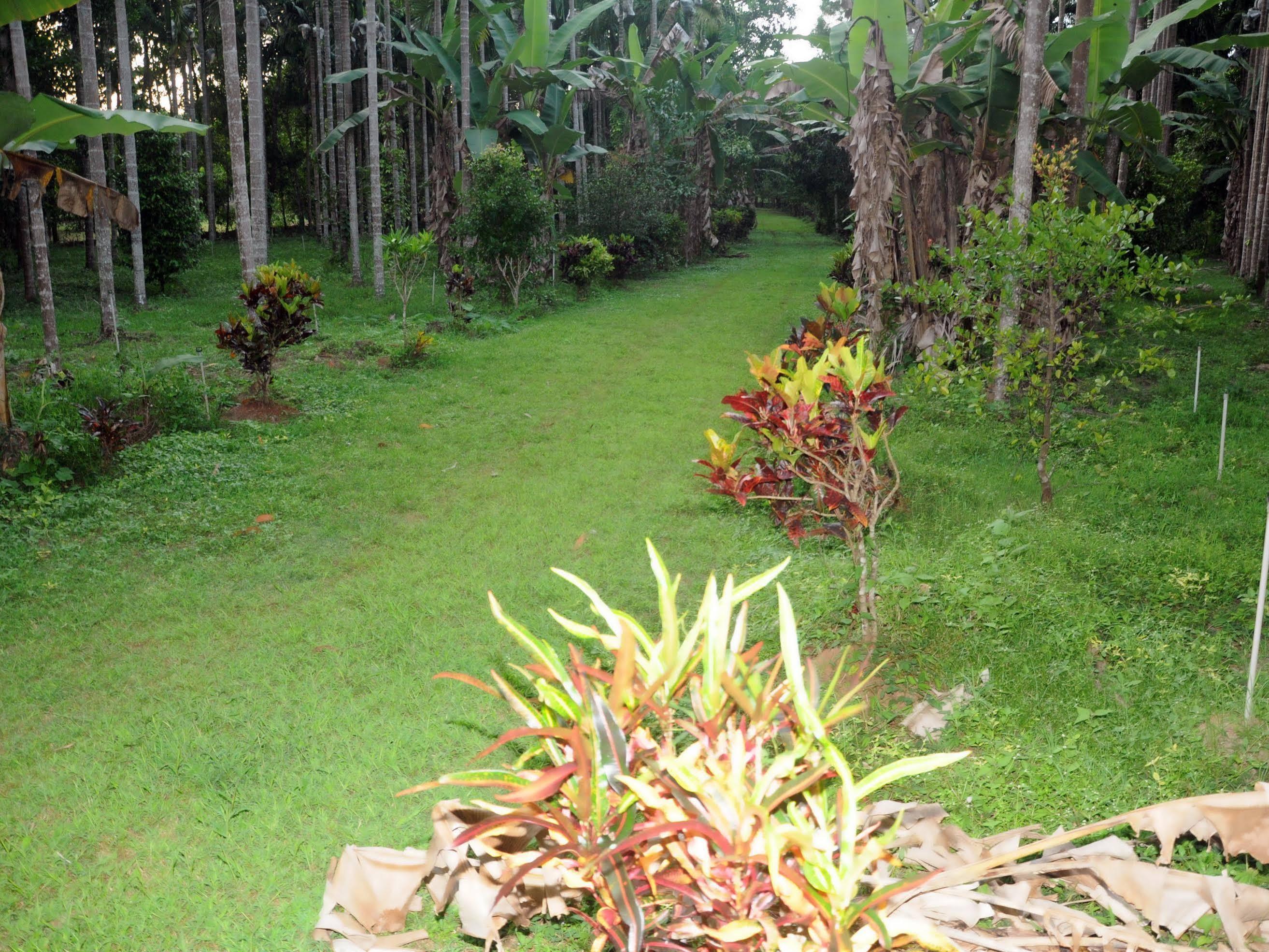 Sathwik Homestay Kumta Экстерьер фото